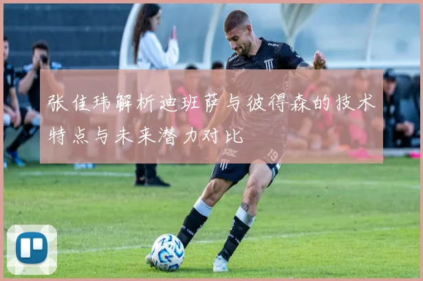 张佳玮解析迪班萨与彼得森的技术特点与未来潜力对比